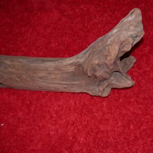 Driftwood Discovery for Bump-on-a-Log, a sculpture by Bernie Houston of Seadrift Sculptures