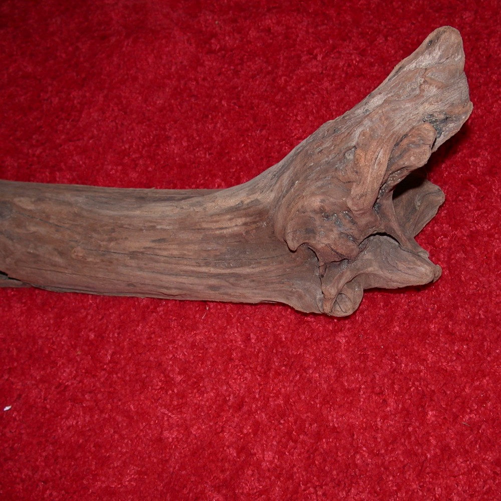 Driftwood Discovery for Bump-on-a-Log, a sculpture by Bernie Houston of Seadrift Sculptures