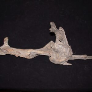 Driftwood Discovery for Jet Stream, a sculpture by Bernie Houston of Seadrift Sculptures