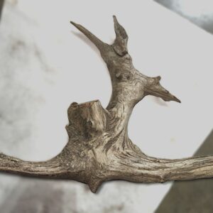 Driftwood Discovery for Nesting King, a sculpture by Bernie Houston of Seadrift Sculptures