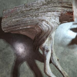 Driftwood Discovery for Quiet Please, a sculpture by Bernie Houston of Seadrift Sculptures