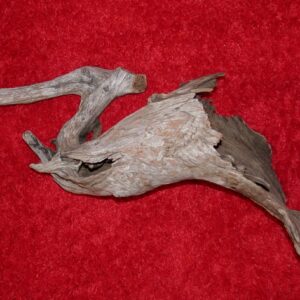 Driftwood Discovery for Surfing, a sculpture by Bernie Houston of Seadrift Sculptures